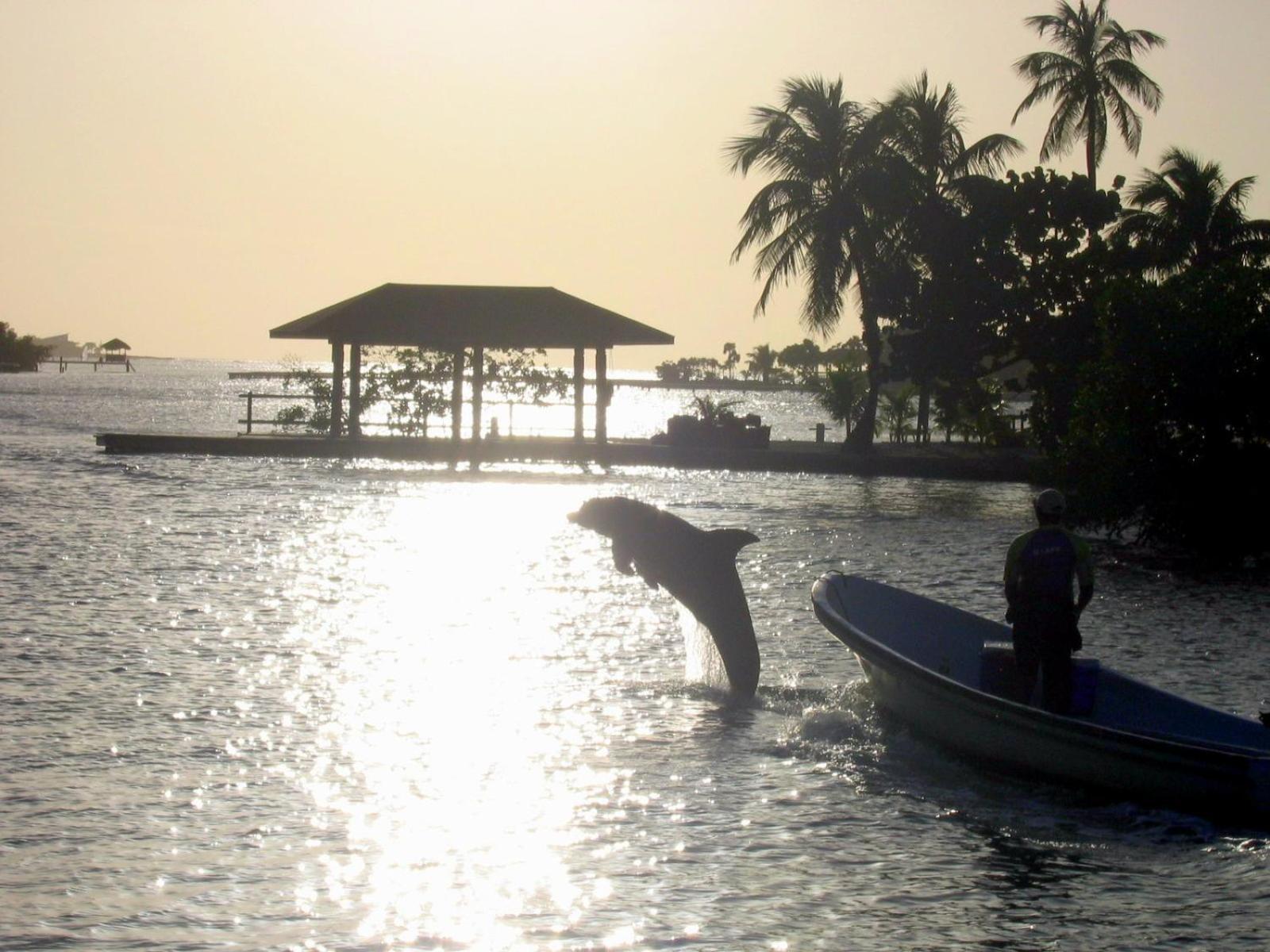 Acqua Di Mare Resort West Bay Exterior foto
